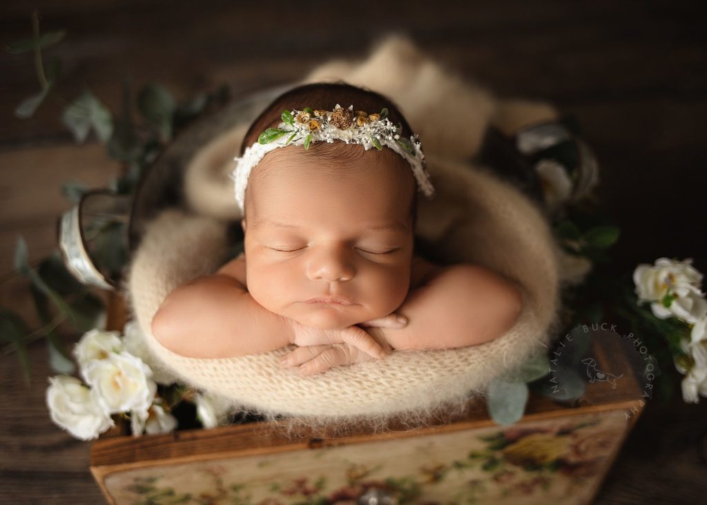 An Outdoor Baby Girl Photoshoot - Fairfield County, CT Newborn