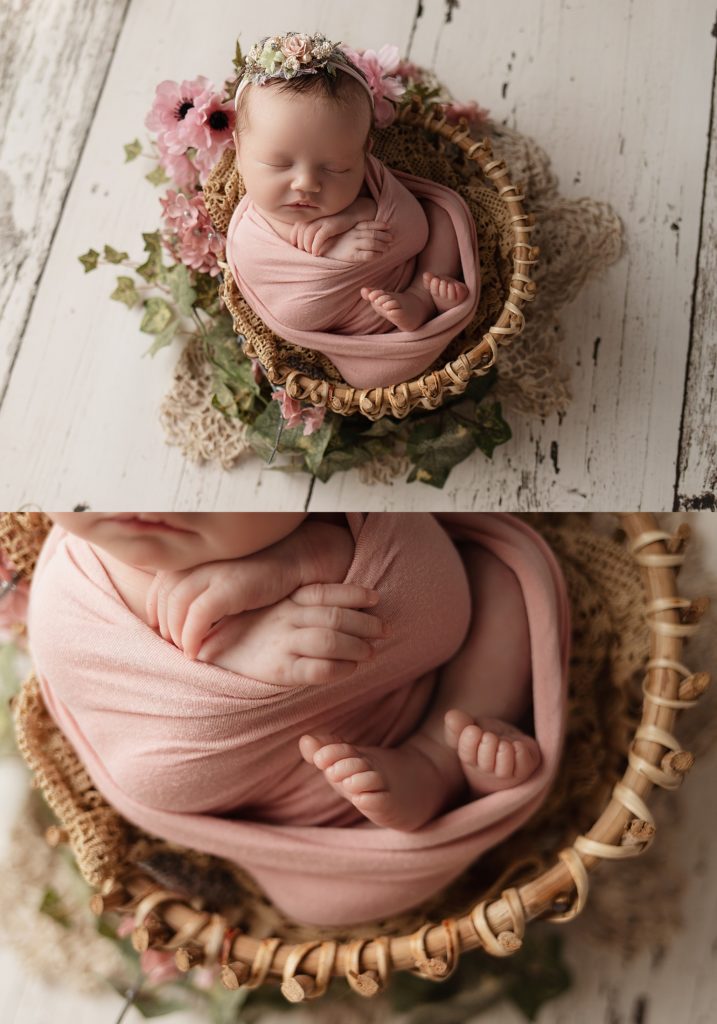 Baby Reagan Full Creative Newborn Session - CT Newborn Photographer