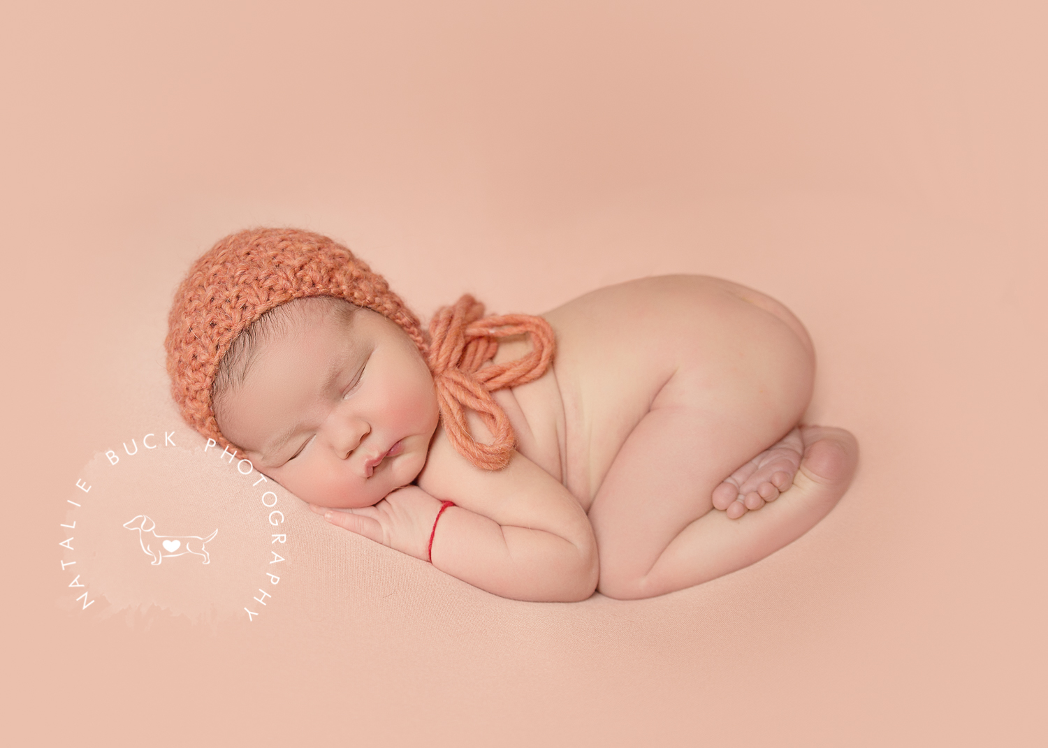 Connecticuts Best Newborn Photographer - Newborn Photography