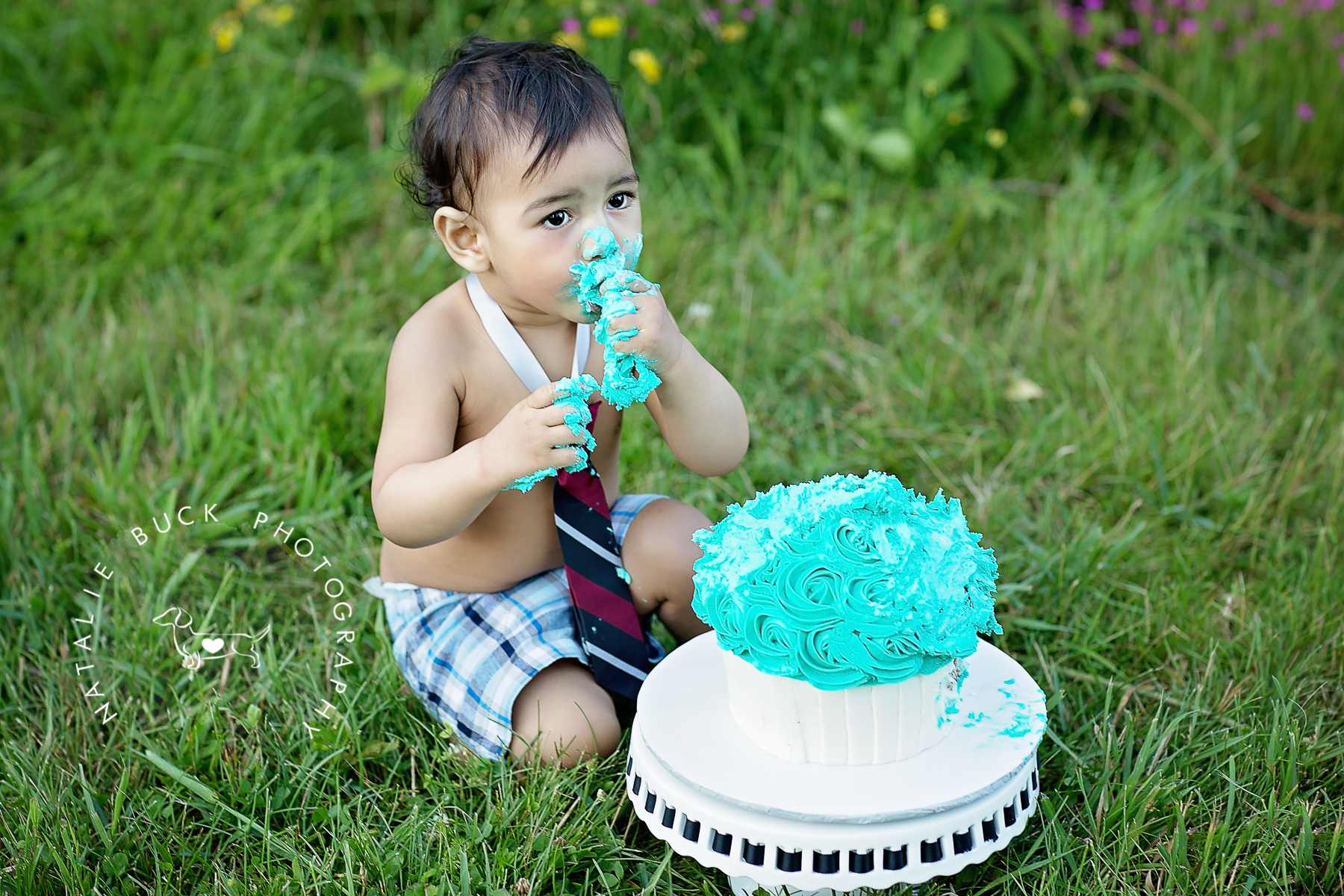 First Birthday Baby Cake Smash Photographer - Connecticut