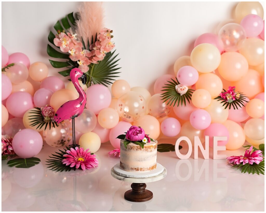 Flamingo Tropical Boho Connecticut Best Cake Smash First Birthday Photographer