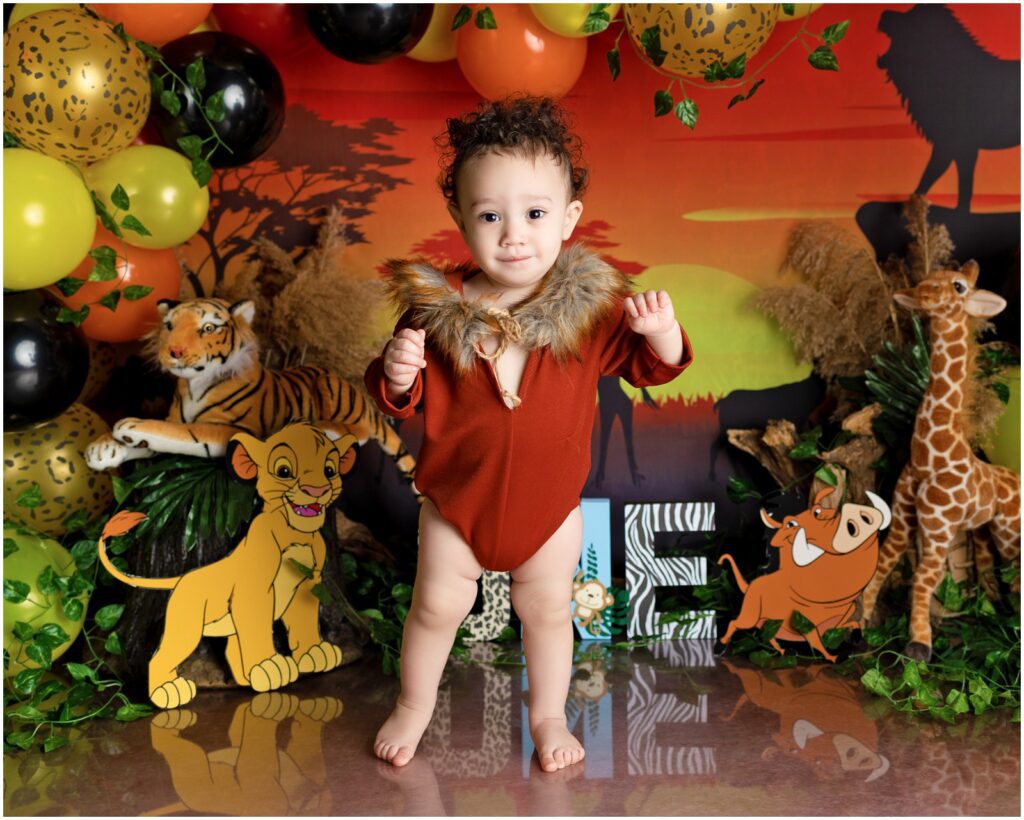 Lion King Cake Smash First Birthday Connecticut Photographer, Weschester County Photographer New York