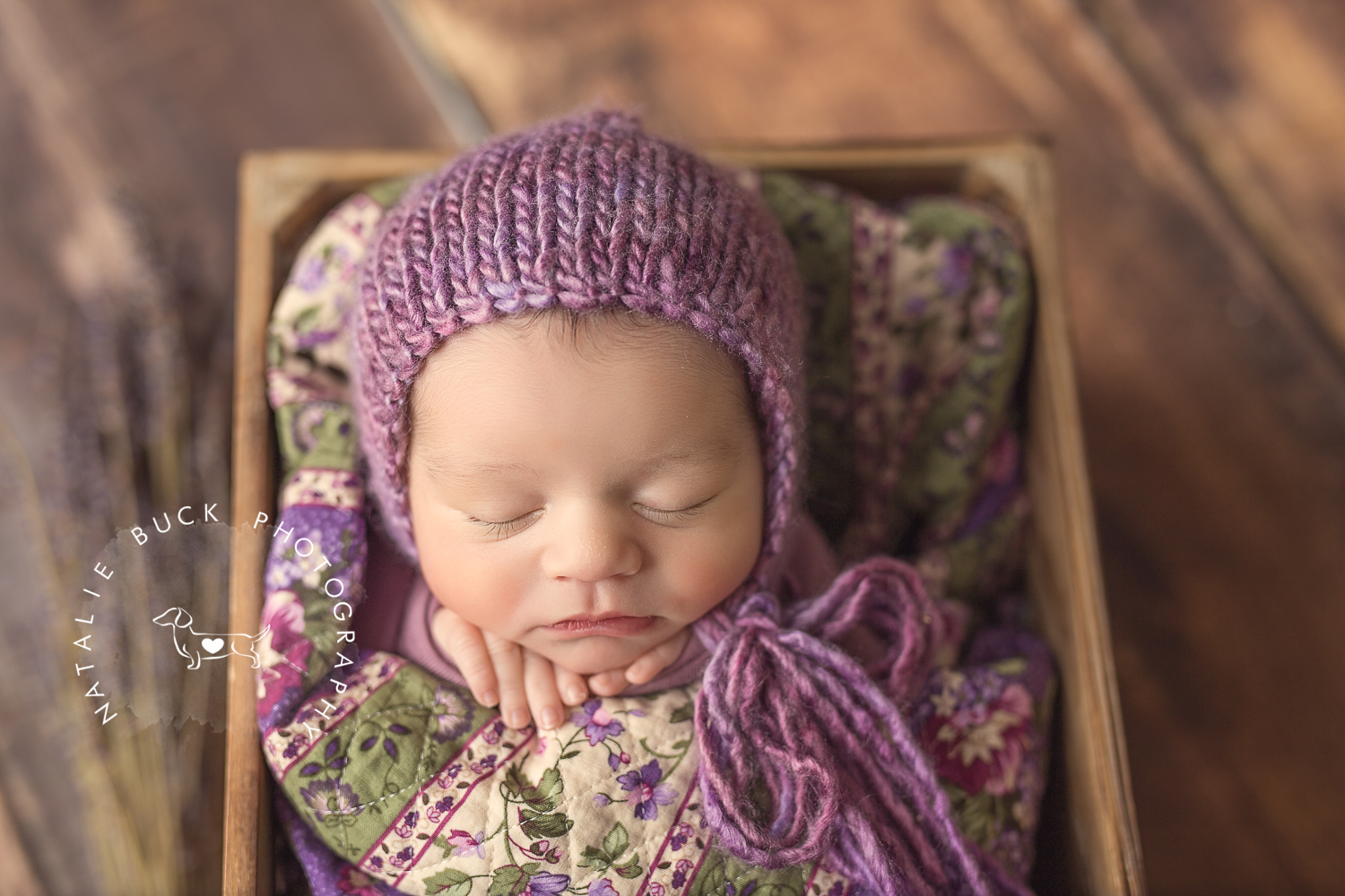 Connecticut Newborn Photographer - Newborn Session