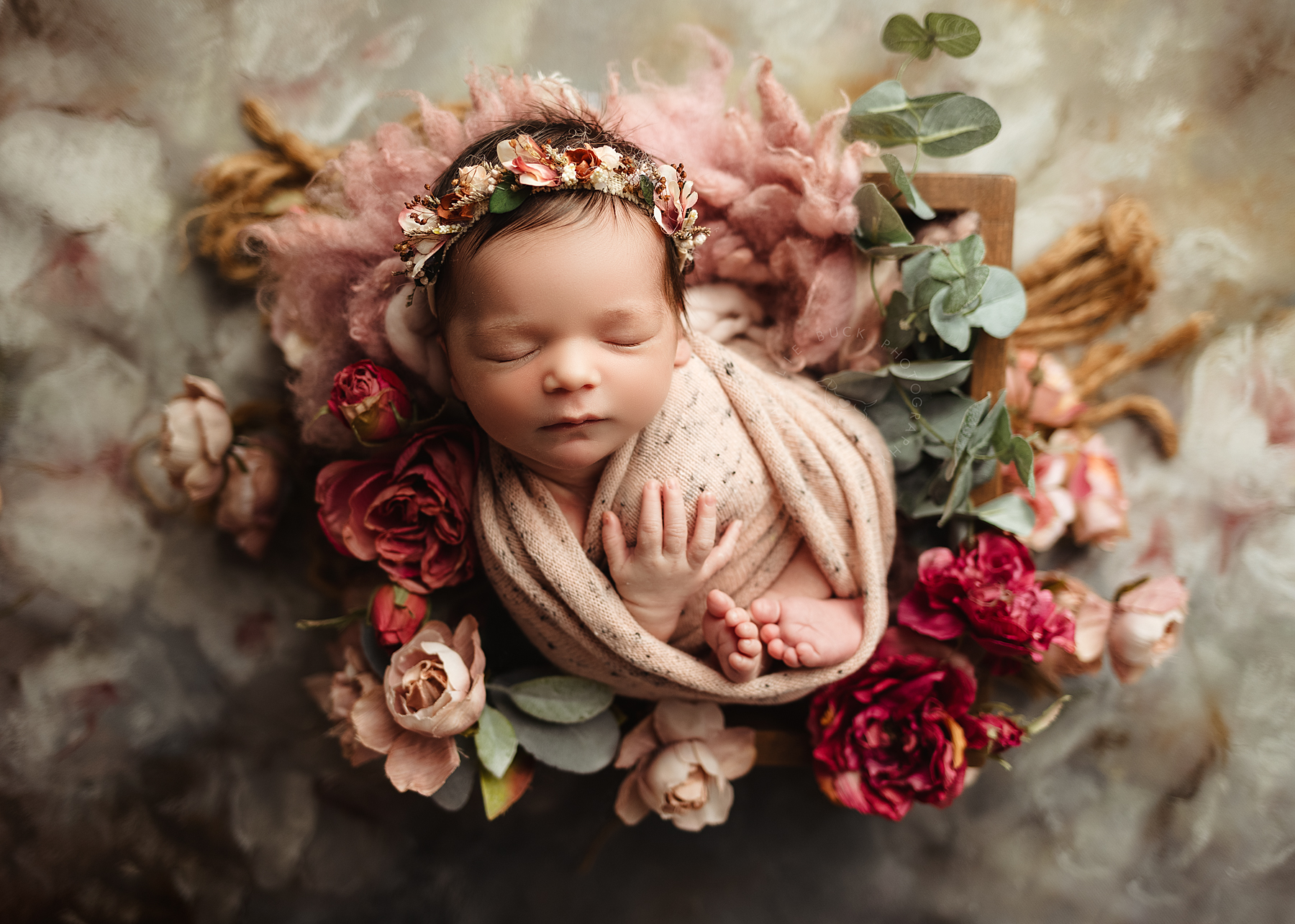 Home Page - Natalie Buck Photography CT Newborn Photographer