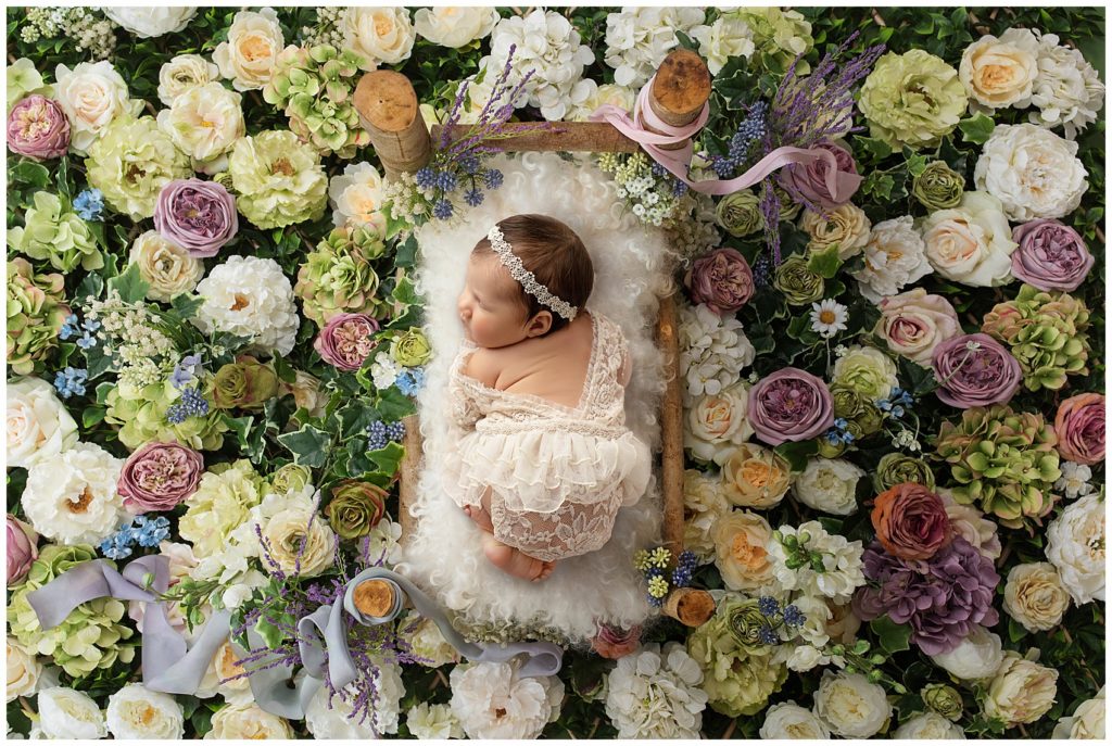 Sweet Newborn Photography - Connecticut Photographer - CT Newborn & Infant Photography