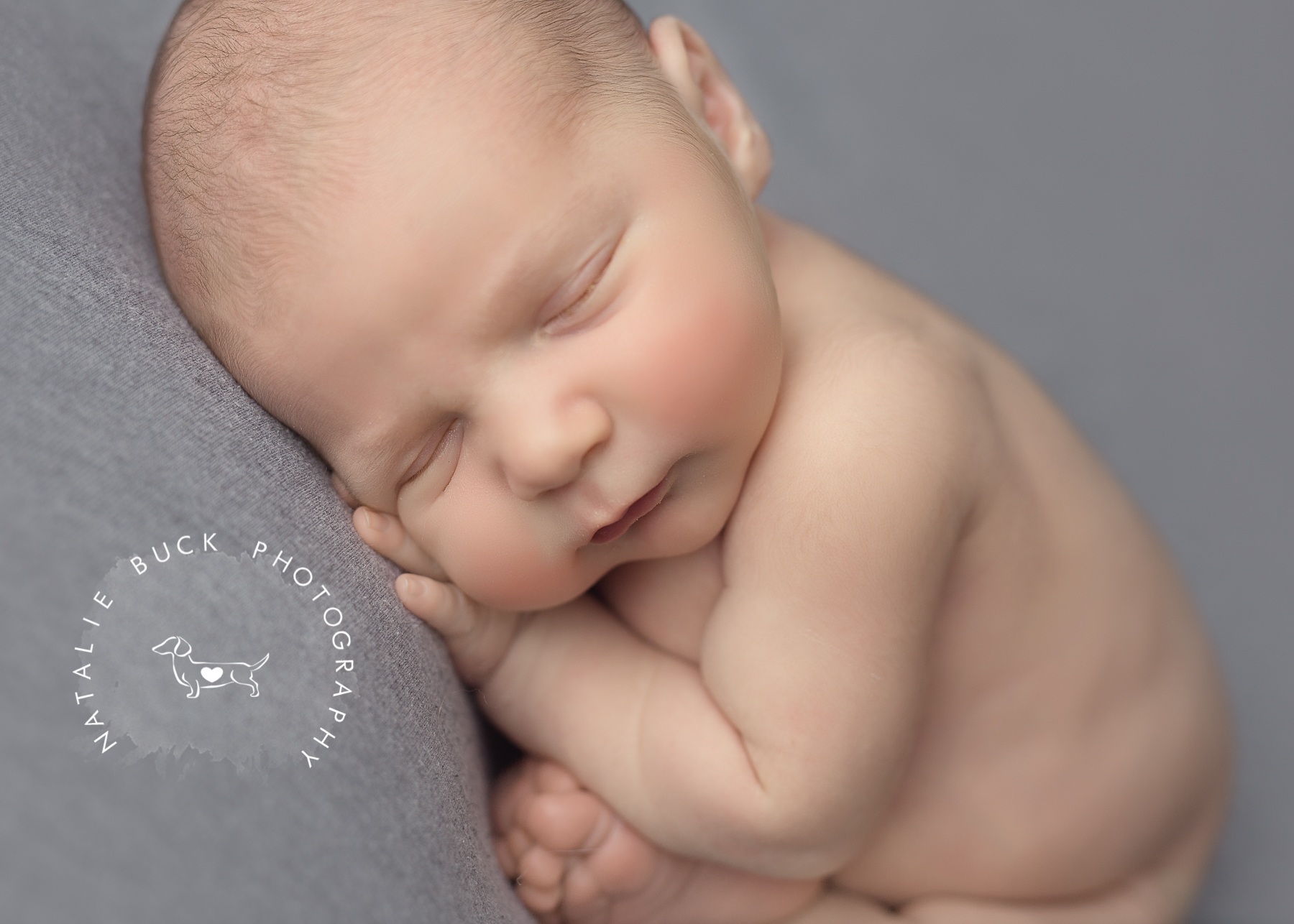 Newborn Photographer CT - Natalie Buck Photography Newborn Photos