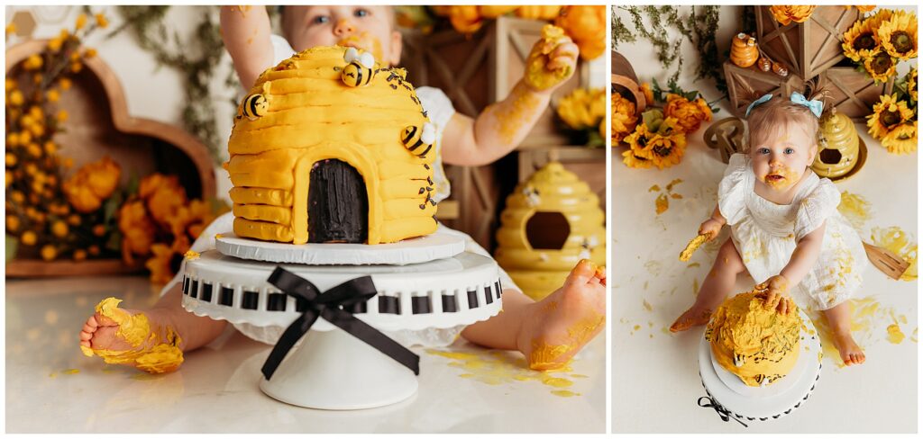 Bee One First Birthday Cake Smash - Ct Cake Smash Photographer